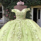 Light Sage Tulle Off Shoulder Ball Gown Appliques Dress