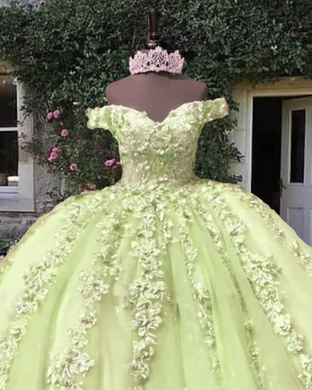 Light Sage Tulle Off Shoulder Ball Gown Appliques Dress