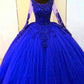 Long Sleeves Royal Blye Tulle Appliques Ball Gown Dress