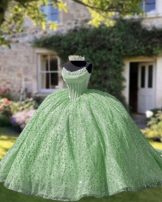Ball Gown Sparkly Quinceanera Dress