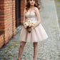 Champagne Tulle Homecoming Dress Lace Embroidery Sweetheart