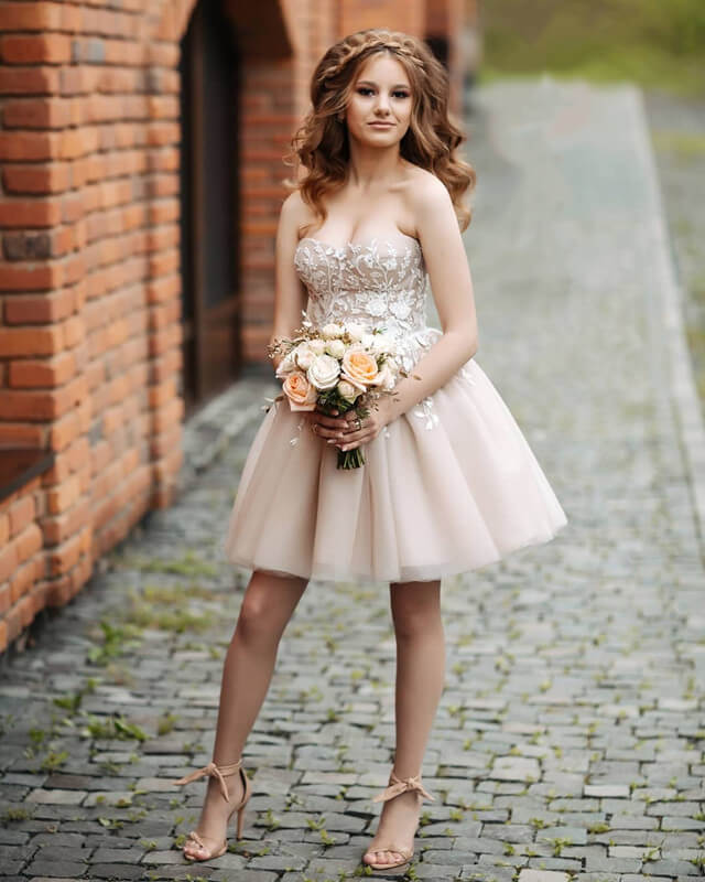 Champagne Tulle Homecoming Dress Lace Embroidery Sweetheart