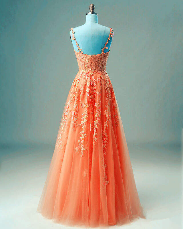 Elegant A-line Prom Dresses V Neck Lace Embroidery