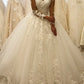Sheer Sleeves Wedding Dress Ball Gown Appliques